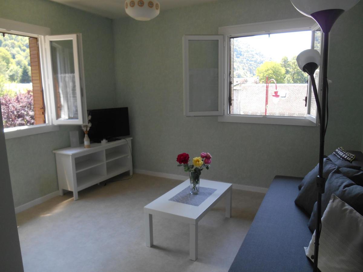 Appartement Vallee De Luchon Salles-et-Pratviel Εξωτερικό φωτογραφία
